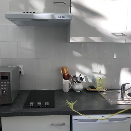 Villa Camelia Grand Studio Quartier Thermal Vichy Eksteriør billede